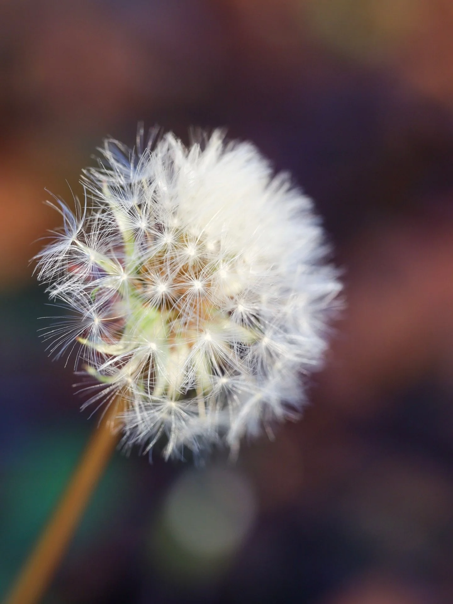 _
⁡
Through the seasons of 2025
⁡
⁡
⁡
#beautyinthemundane #2025