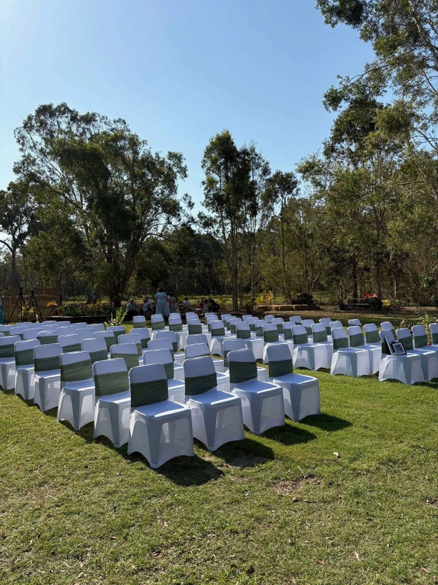 Outdoor wedding ceremony setup with rows of white chairs with green sashes, set on a grassy area under tall trees with leaves, on a sunny day with a clear blue sky.