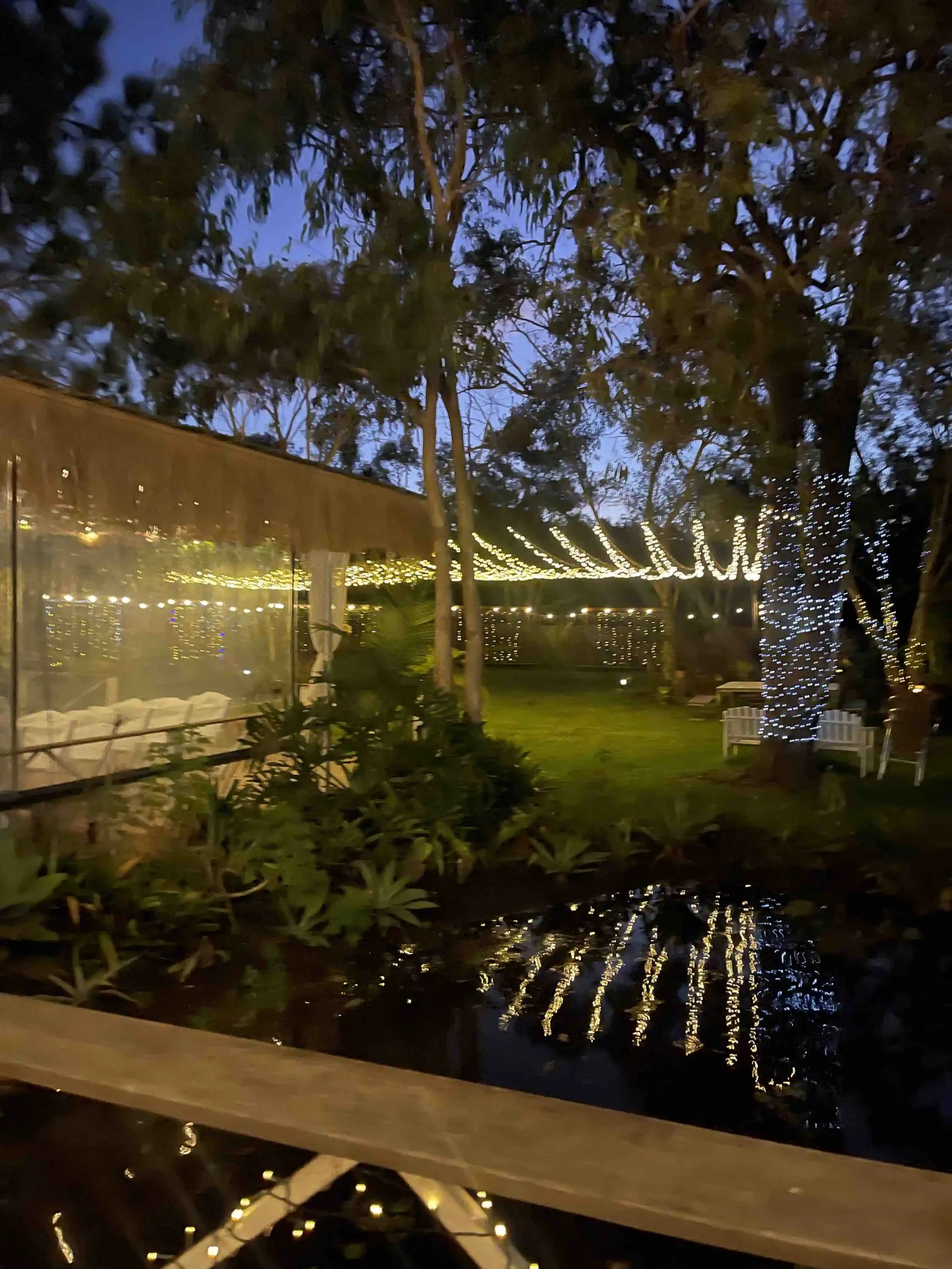 Outdoor scene at dusk with trees wrapped in string lights, a reflective water surface, and a glass enclosure with string lights inside.