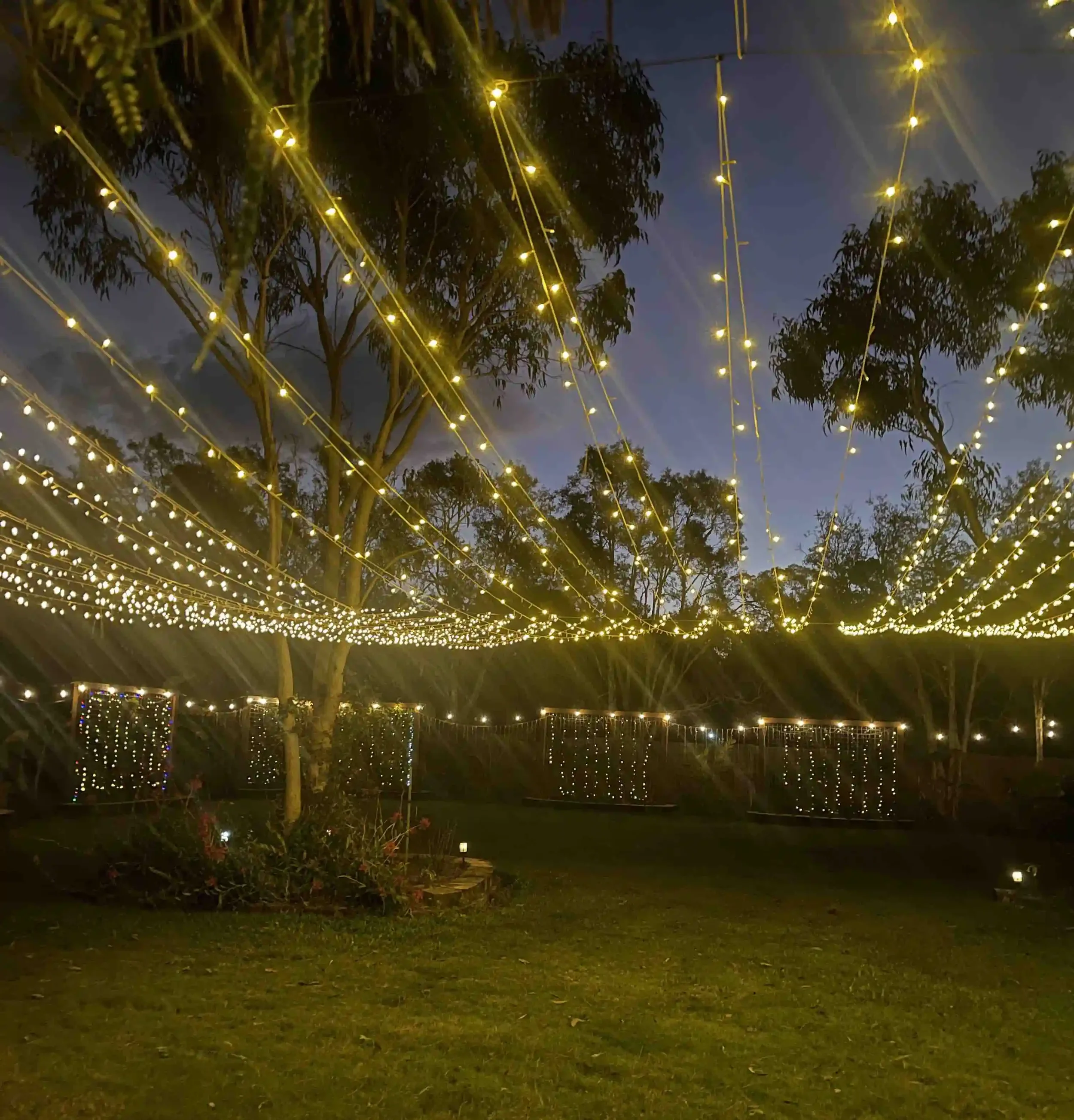 Nighttime outdoor scene with trees adorned with hanging string lights that emit warm yellow glow. The sky is dark, and the illuminated lights create a festive atmosphere over a grassy area.