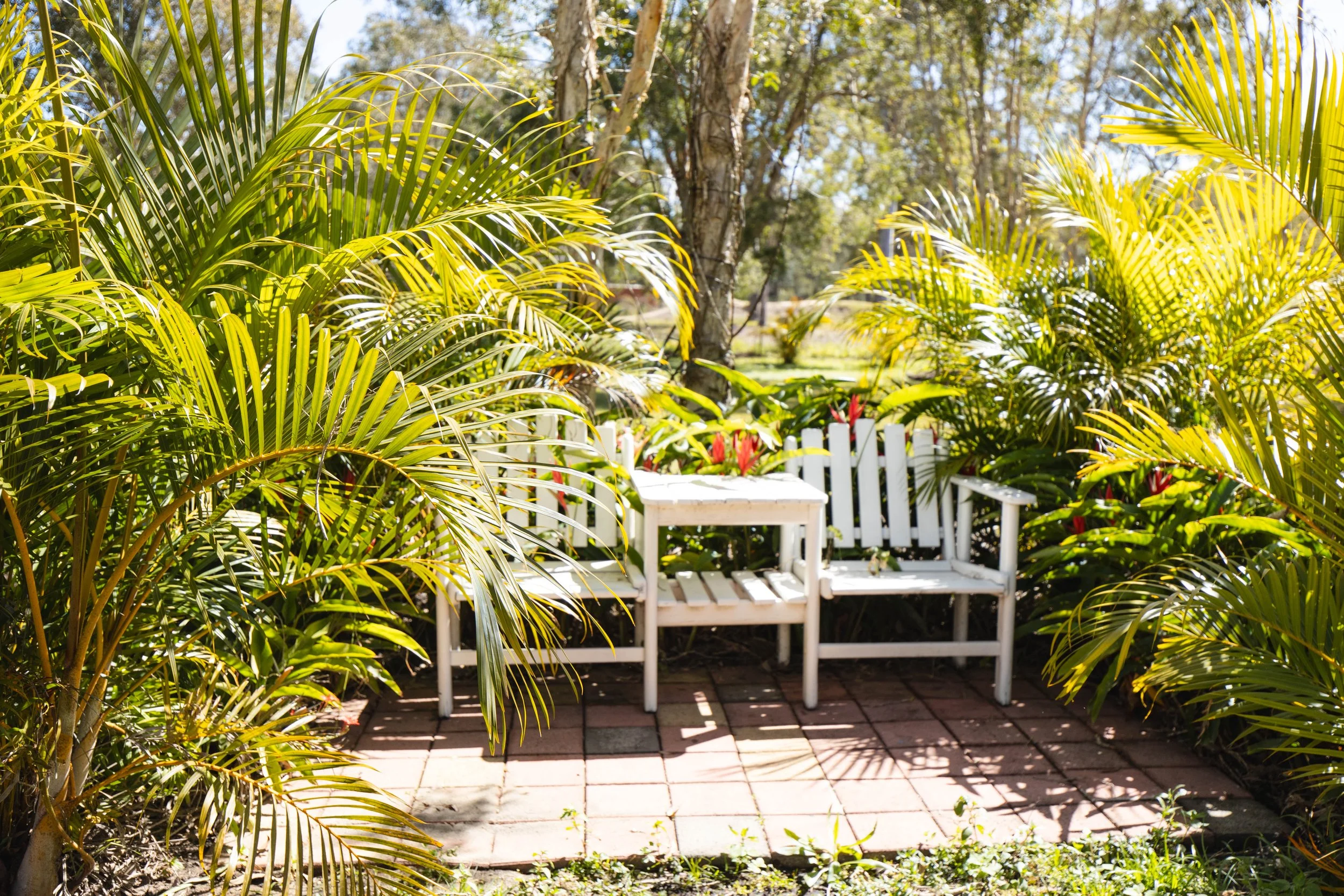 White garden bench with matching table in a lush, tropical garden surrounded by green palm leaves and flowering plants under a clear sunny sky.