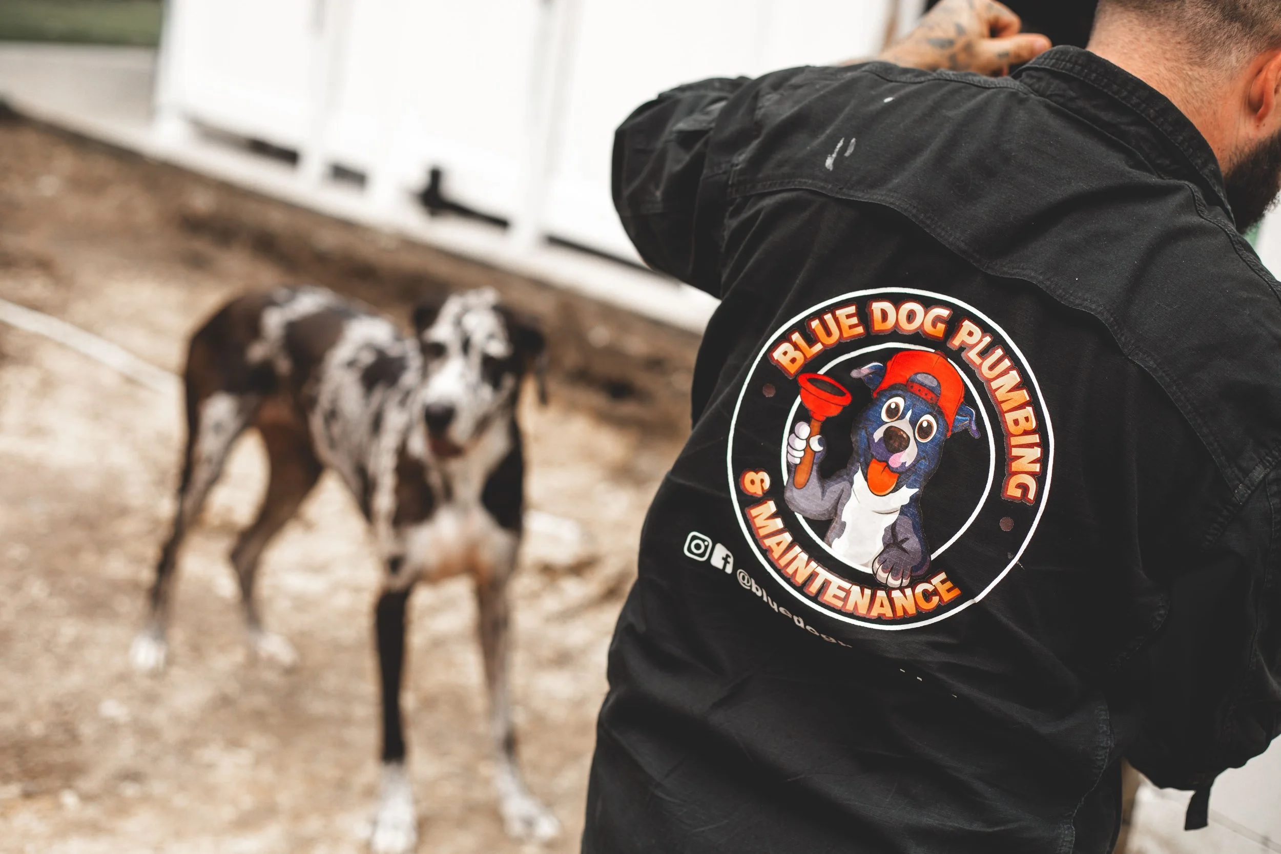 Blue Dog Professional Photos-1.jpg