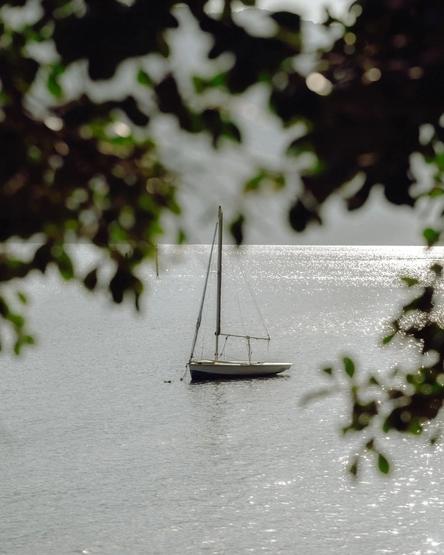 Slow Life &bull; Deep Love &bull; True Island Living ⛱️🏝️☀️🌊🐚🌴

#beachlife #islandlife #slowliving #enjoyeverymoment #florianopolis