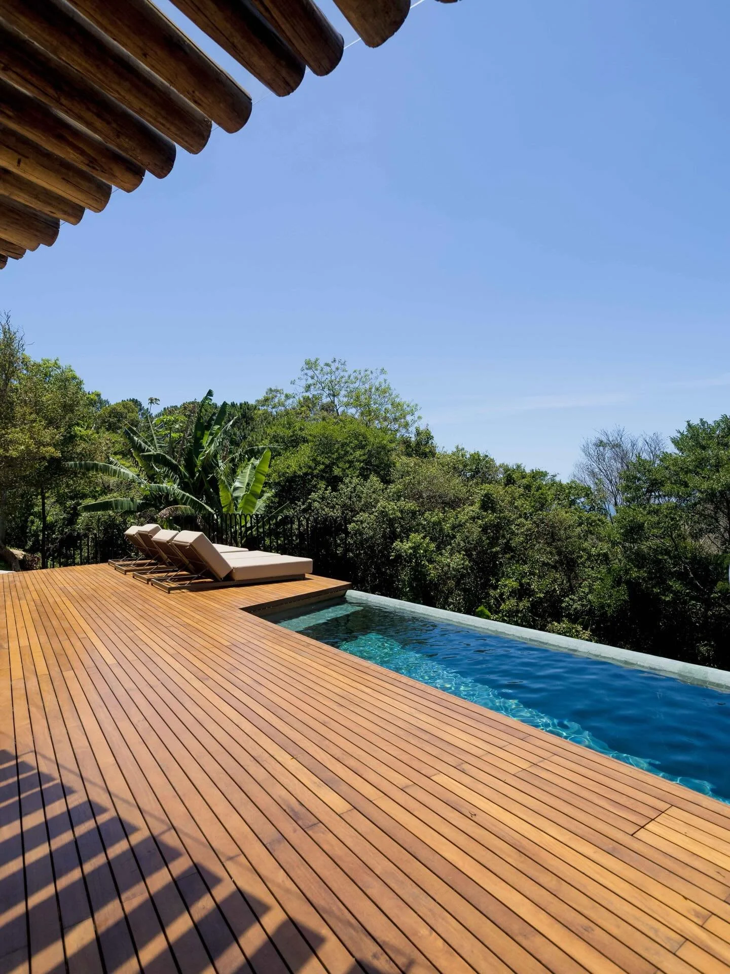 Cozy&rsquo;s Summer&bull;Pool&bull;Side&bull;Sound☀️🦗💦🍸😎🌴🐜

#jungle #brazilianhouse #summervibes☀️ #poolside #var&atilde;o