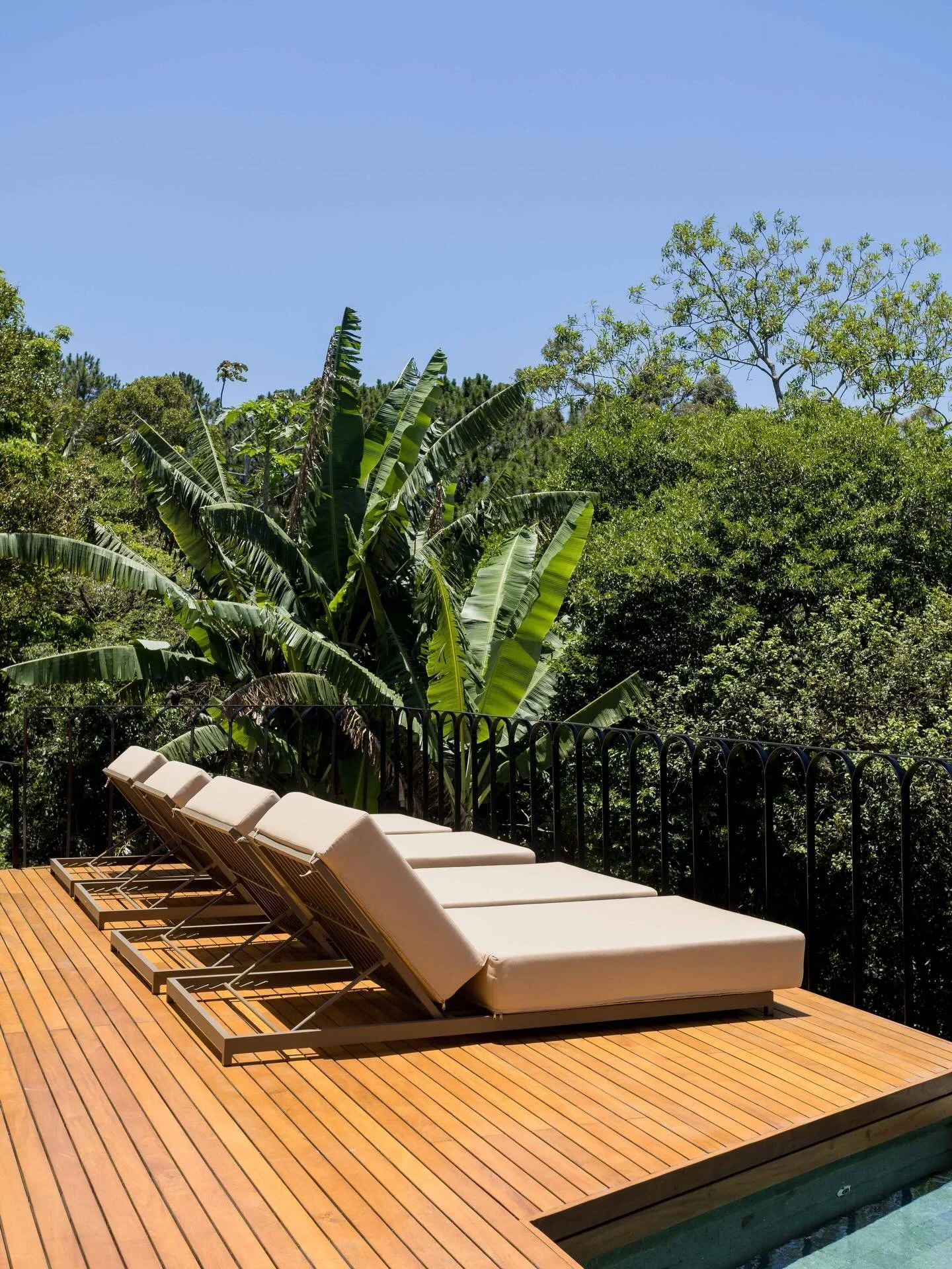 Momento de descanso, sol de ver&atilde;o no deck da piscina com vista incr&iacute;vel &bull; Cozy Casa Brasil 📍Praia Mole 🇧🇷✨🌊☀️

#piscinanatural #vistaincr&iacute;vel #jungle #islandvibes #varao