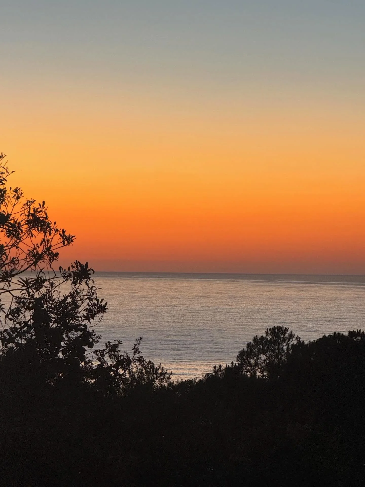 Light. Silence. Sunrise &bull; Momentos m&aacute;gicos - the villa way &bull; Cozy Casa Brasil 📍Praia Mole 

#sunrise #islandlife #seaview #boutiquevilla #healingnature