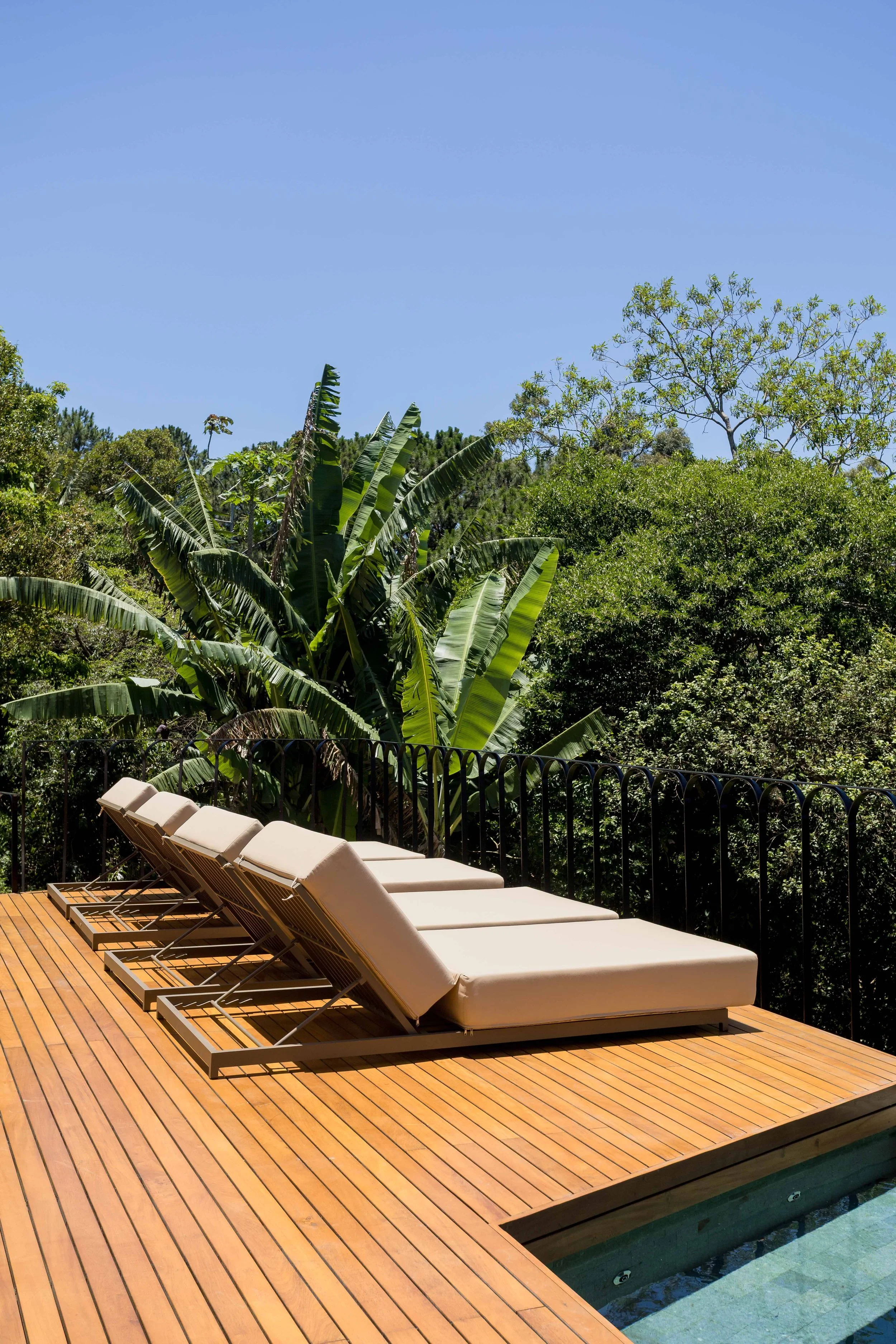 Four lounge chairs on a wooden deck overlooking lush green trees and clear blue sky.