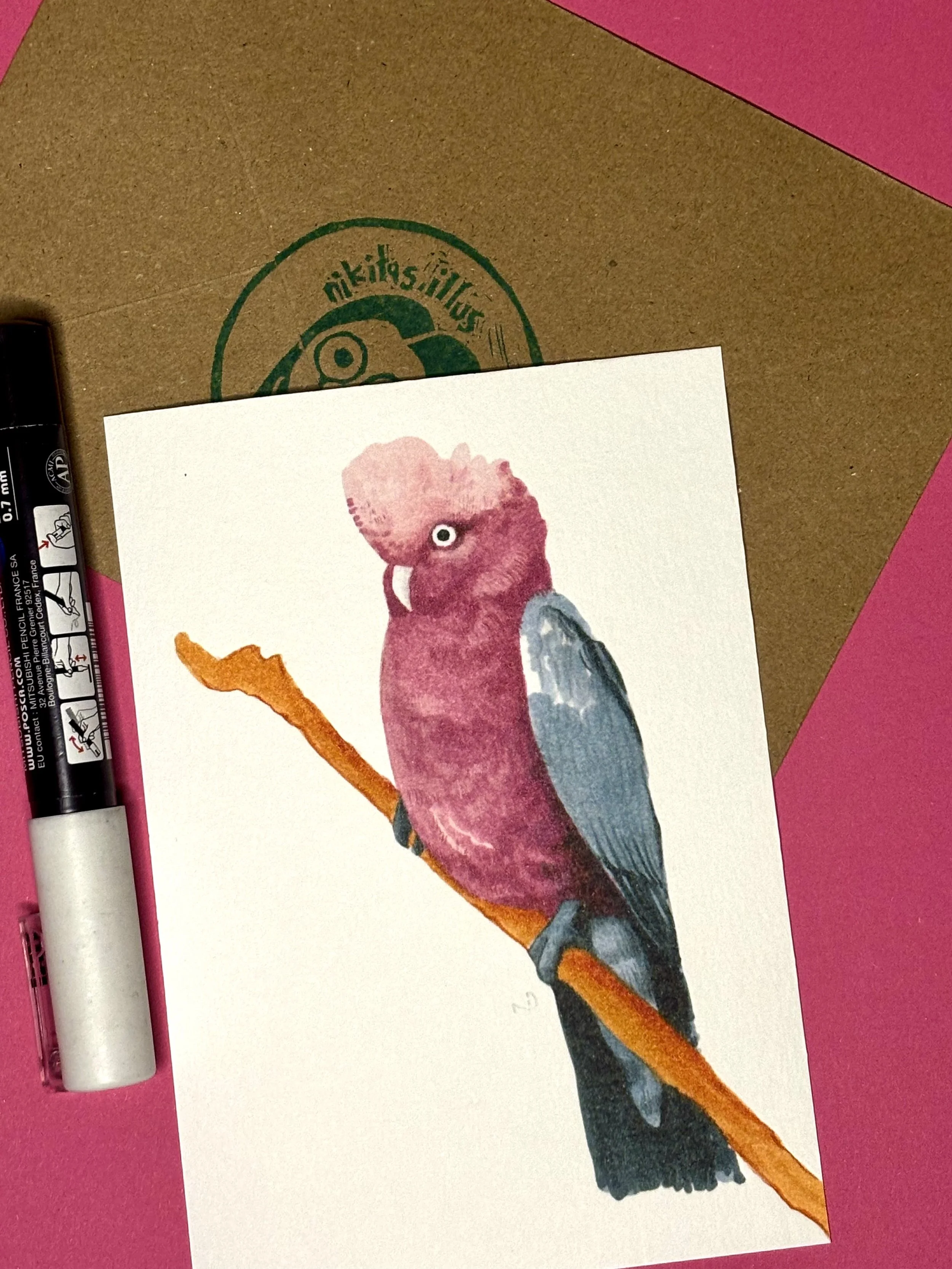 Print "Galah Cockatoo"