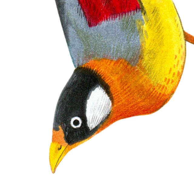 2.png