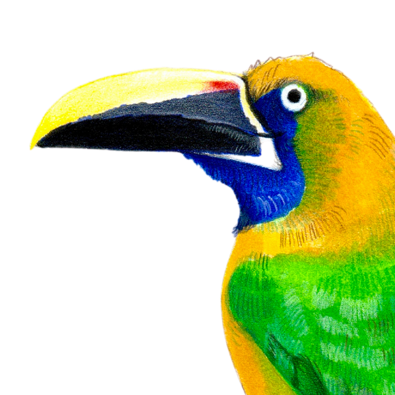 13.png