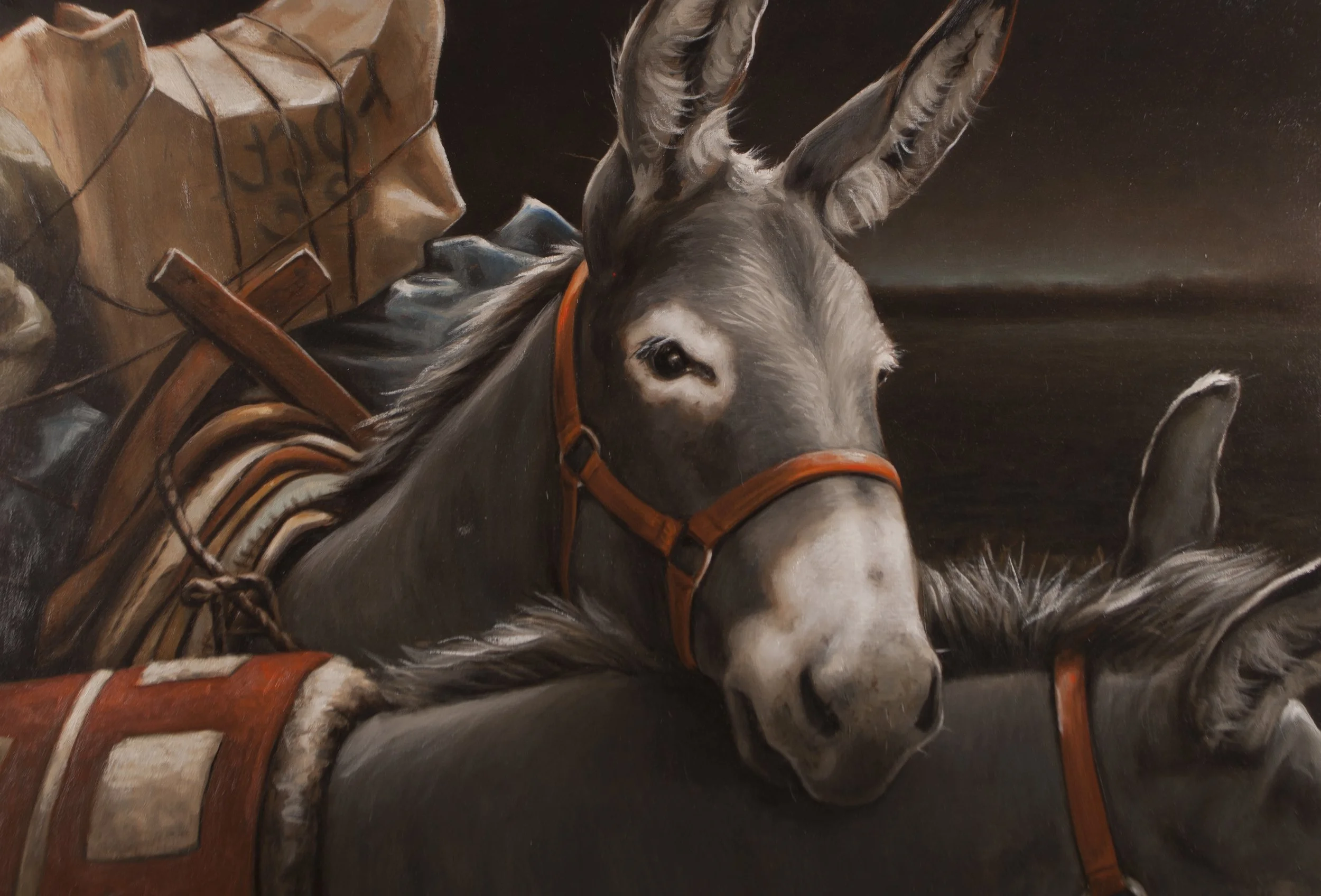 Œuvre animalière d’Edgar Saillen, où la lumière sculpte la présence de l’animal et transforme l’étude en véritable portrait classique.