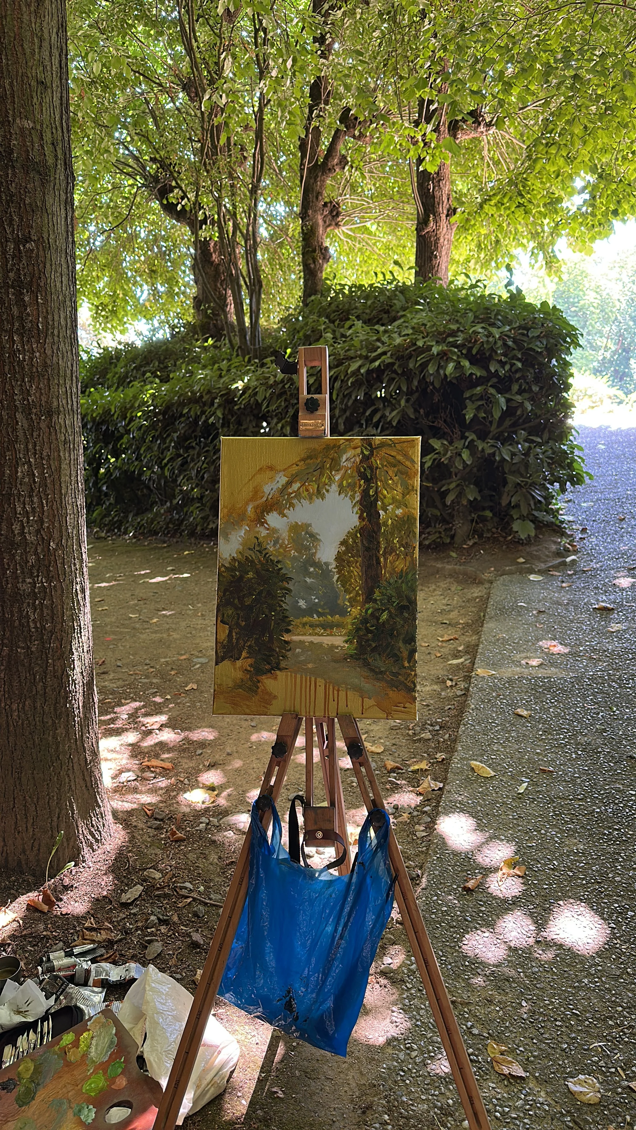 Paysage en clair-obscur réalisé pendant un stage de peinture en plein air.
