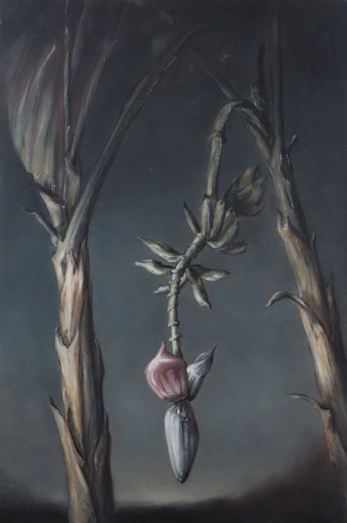 Exploration artistique de la nature et des animaux par Edgar Saillen, entre héritage pictural, techniques classiques et style intemporel.