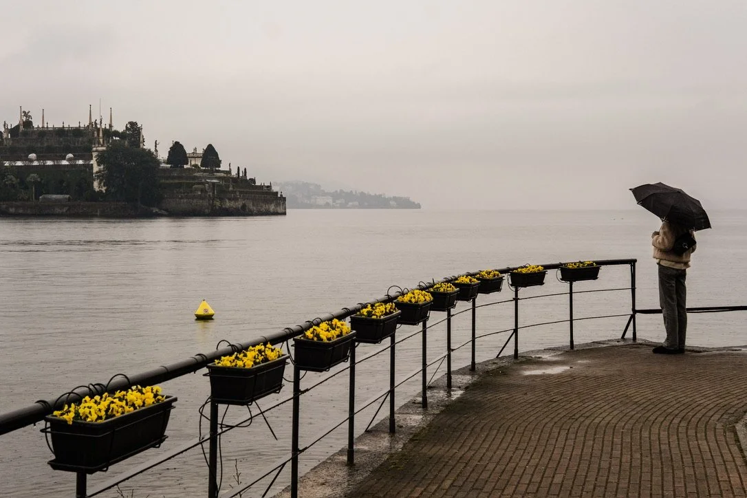 A person stands by a waterfront railing holding an umbrella, looking out over the water on a cloudy day. The railing has potted yellow flowers, and there is a buoy floating in the water. In the background, a large estate or building is visible on the