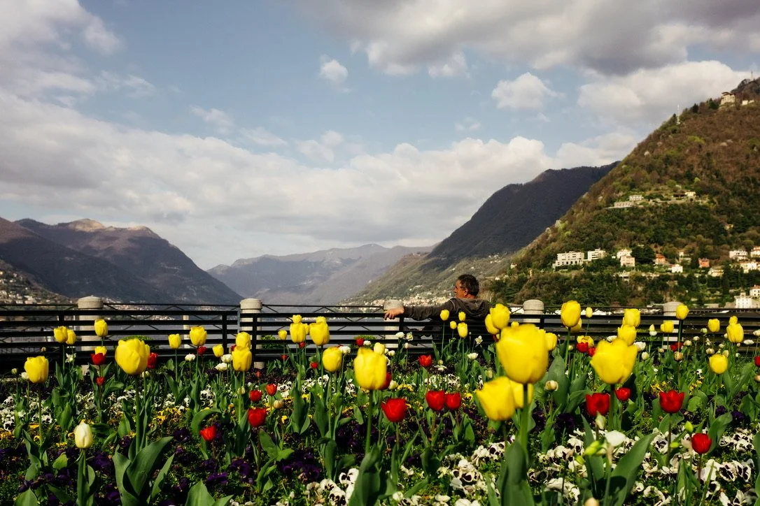 A person sitting on a balcony with a view of mountains and a river, surrounded by vibrant yellow, red, and white tulips and other flowers.