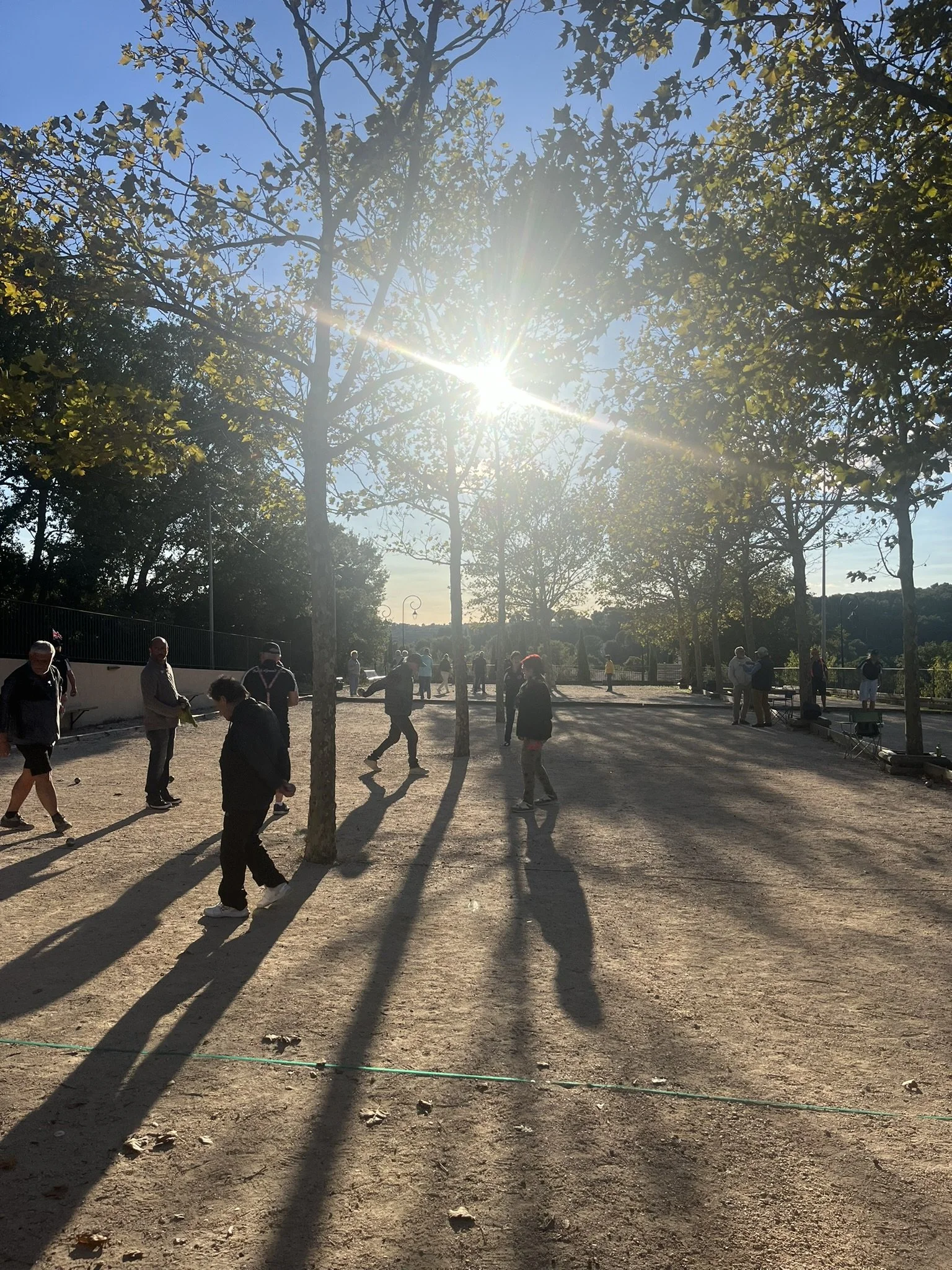 People playing petanque on a sunny day in a park with trees casting long shadows.