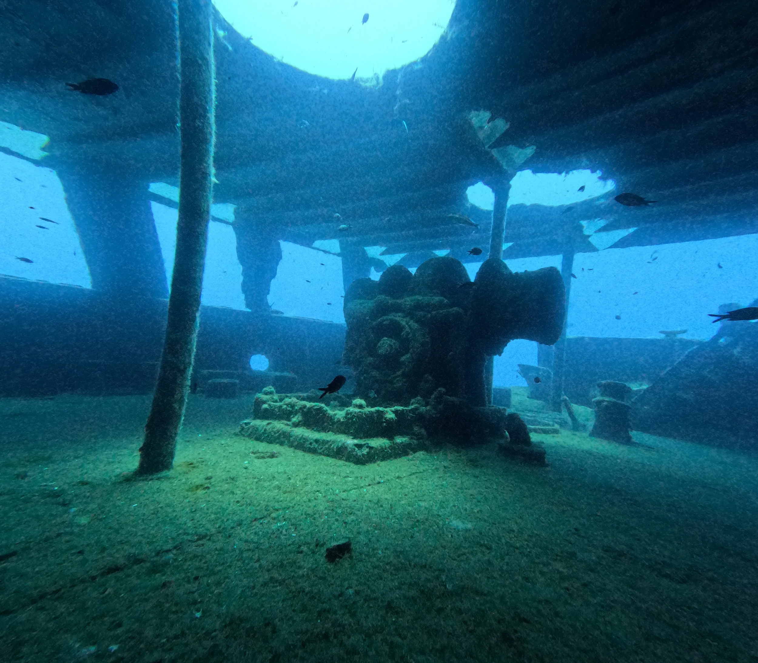 Underwater view of a sunken shipwreck with scattered fish swimming around. The ship's structure is visible from below, with some parts of the wreckage resting on the sandy ocean floor.
