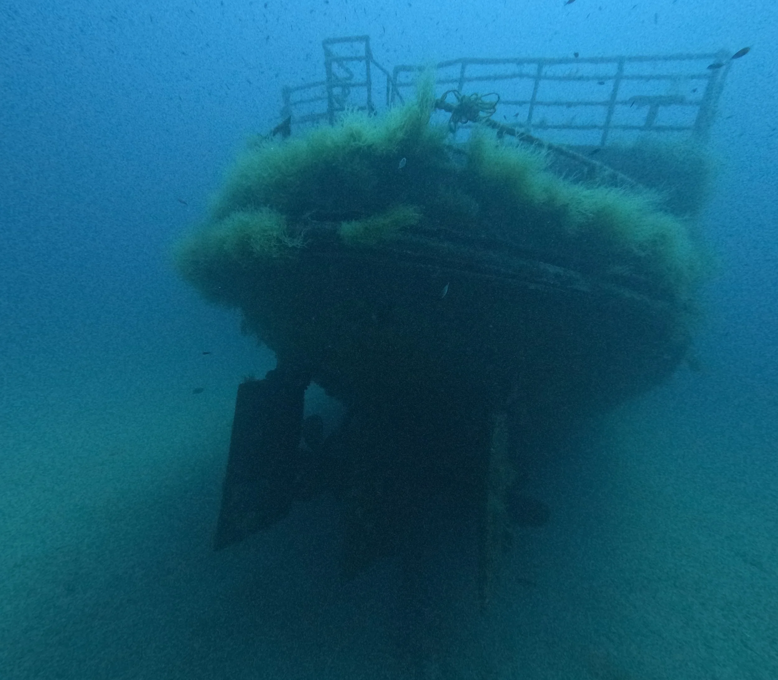 An underwater scene showing a partially submerged pig-shaped structure covered with green moss and algae, with metal railings and a ladder visible in the background.