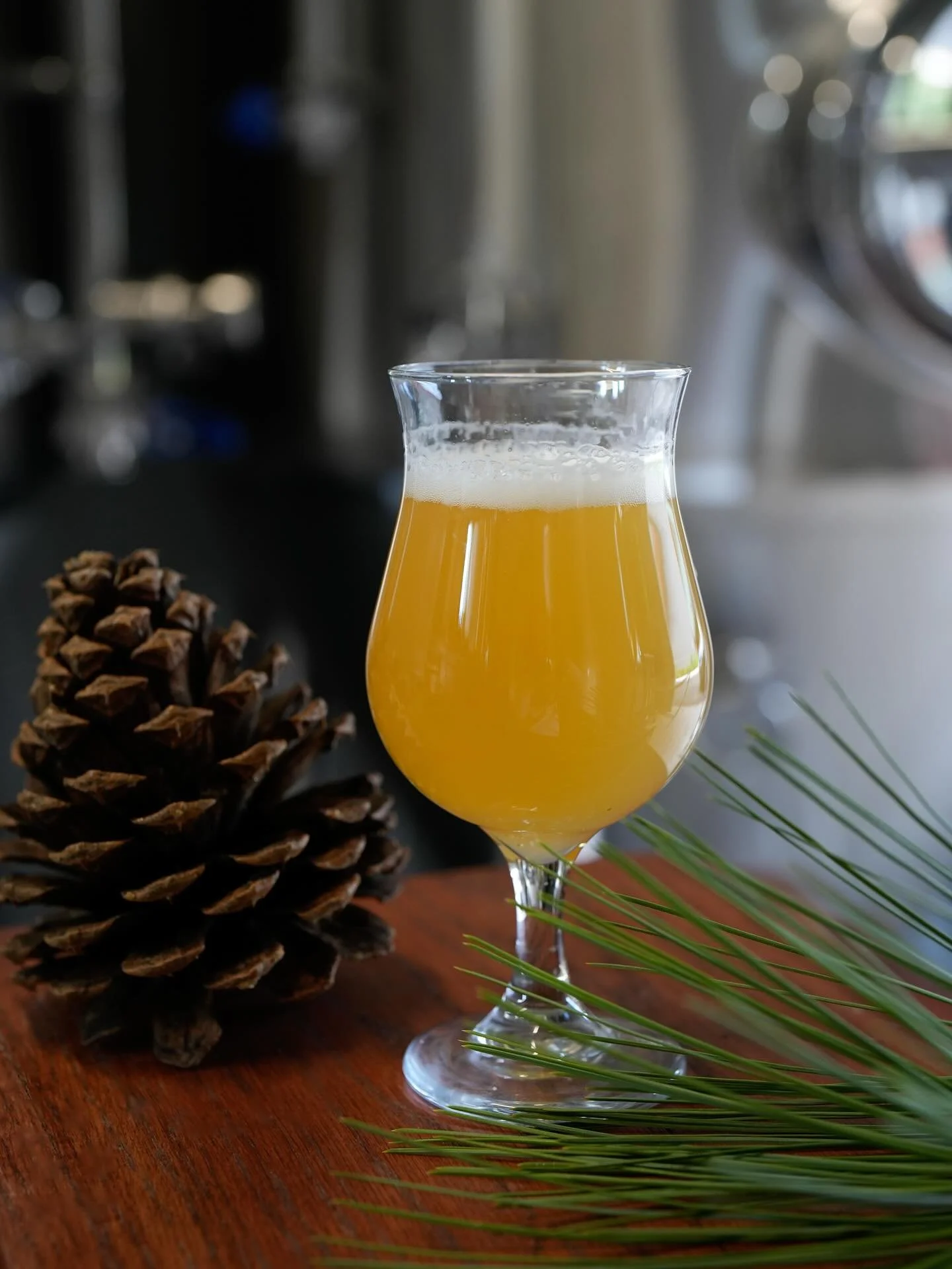 Big news! We&rsquo;ve been hard at work building out the brewery, dialing in our systems, and brewing up our very first beers - and they&rsquo;re finally ready to pour! We&rsquo;re kicking things off with three inaugural releases, including the one p