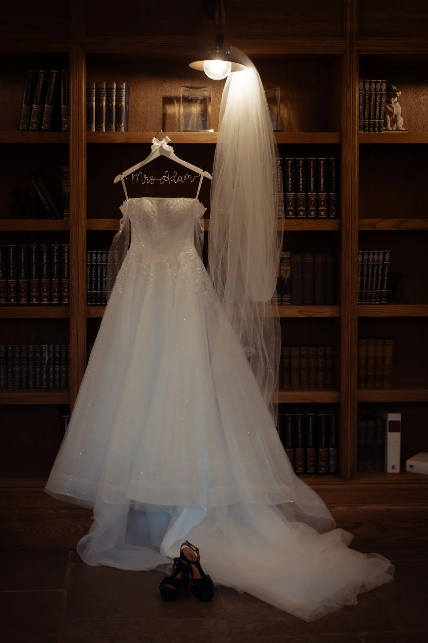 cinderella-inspired-winter-wedding-dress-glencoe..jpg