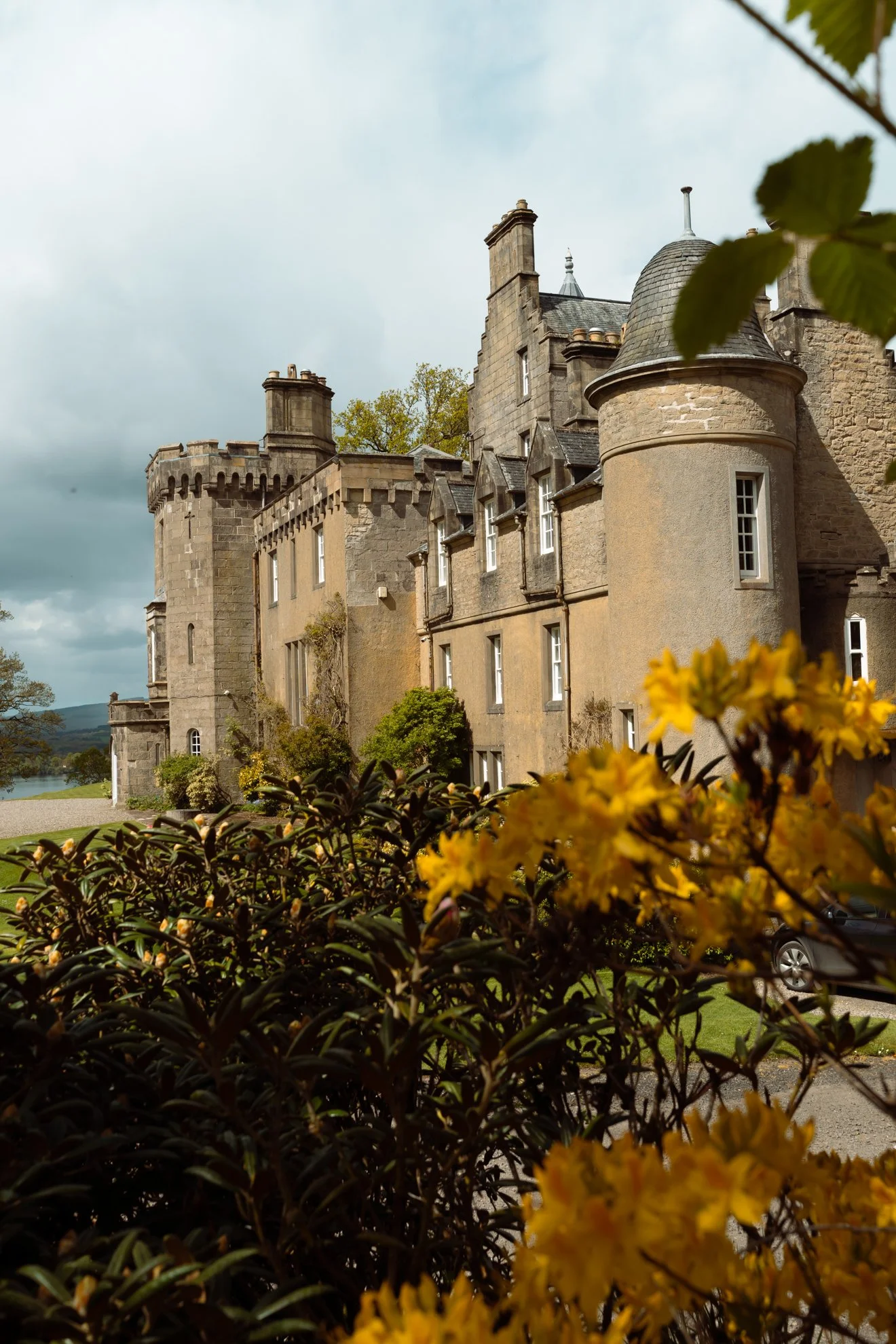 boturich-castle-yello-flowers.jpg