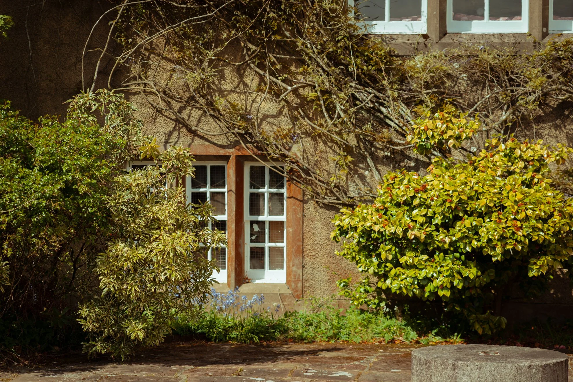 cosy-castle-shrubbery-scotland.jpg