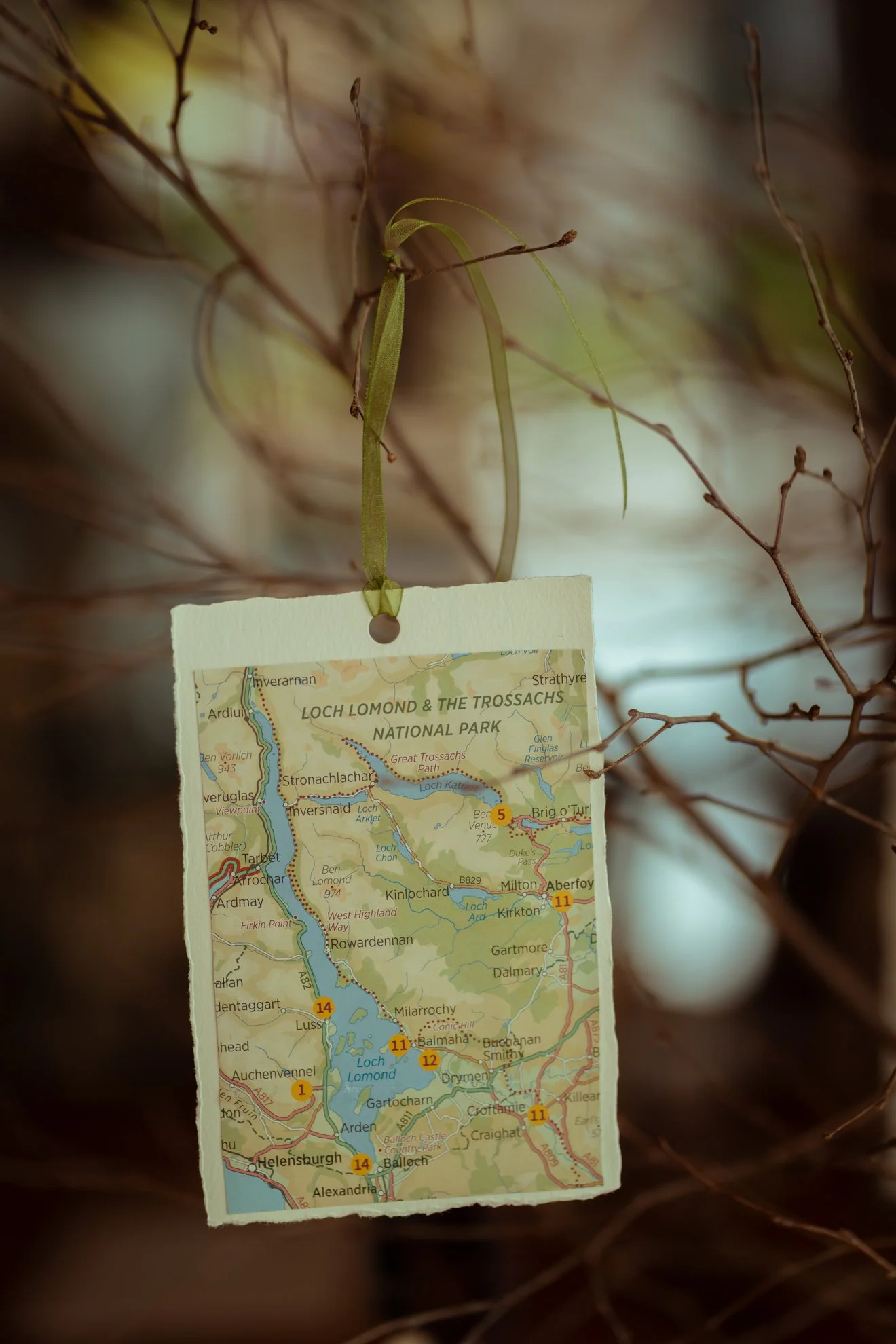tree-of-wishes-scottish-weddings.jpg