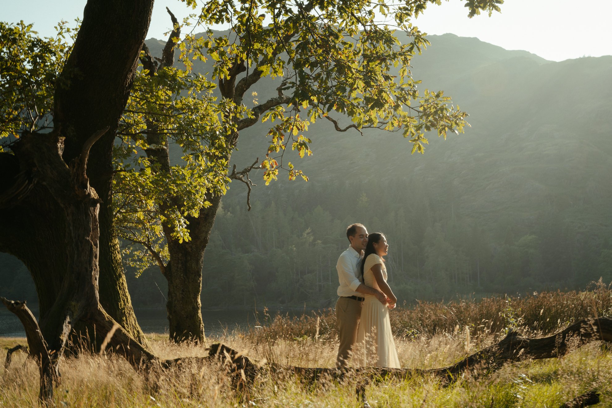 love-story-in-a-forest.jpg