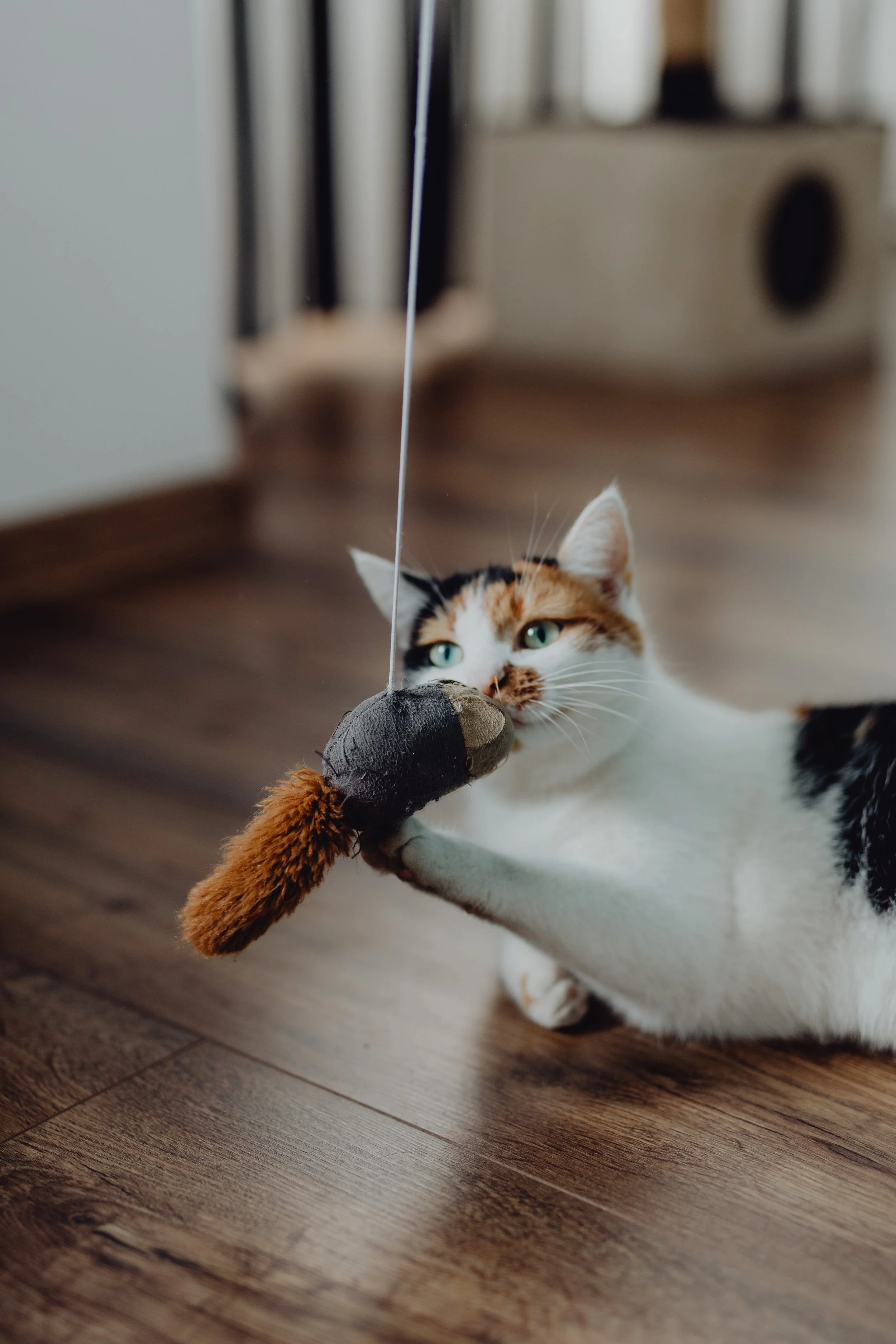 A calico cat playing with a toy mouse on a wooden floor.