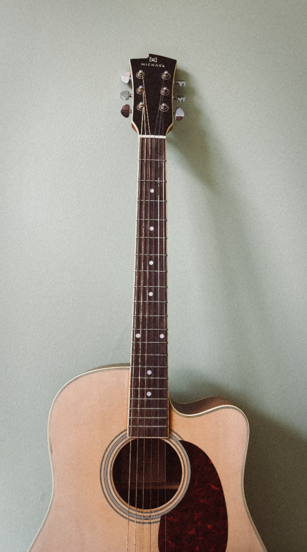 A Michael brand acoustic guitar hanging on a light green wall.