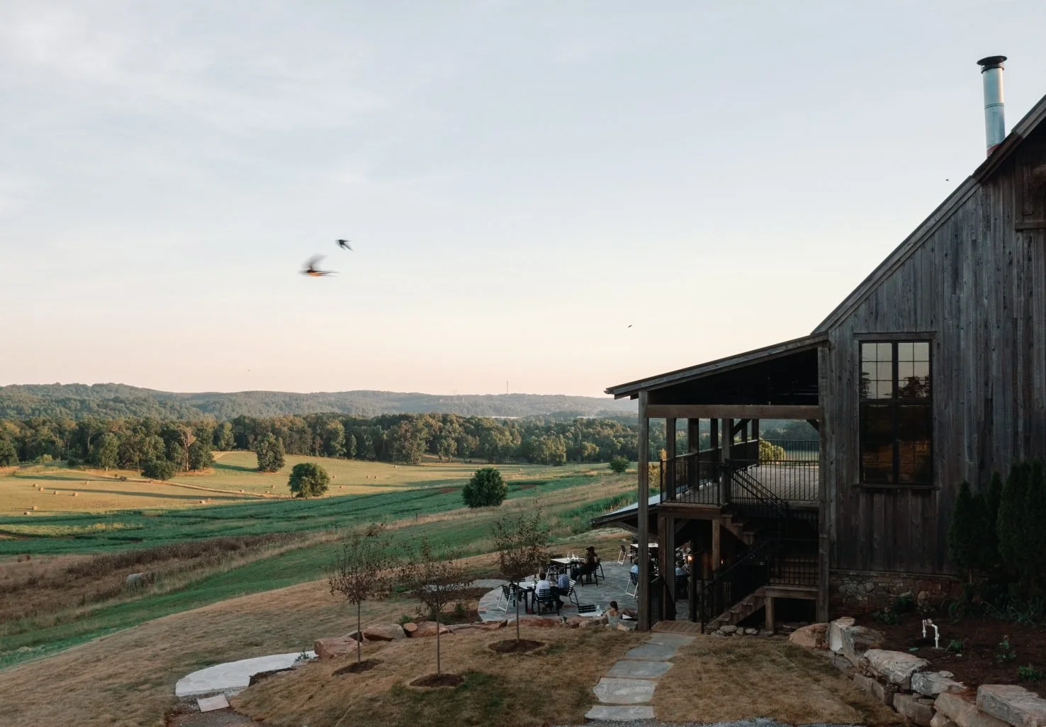 Windy Hill Farm Drone June 2022.jpg