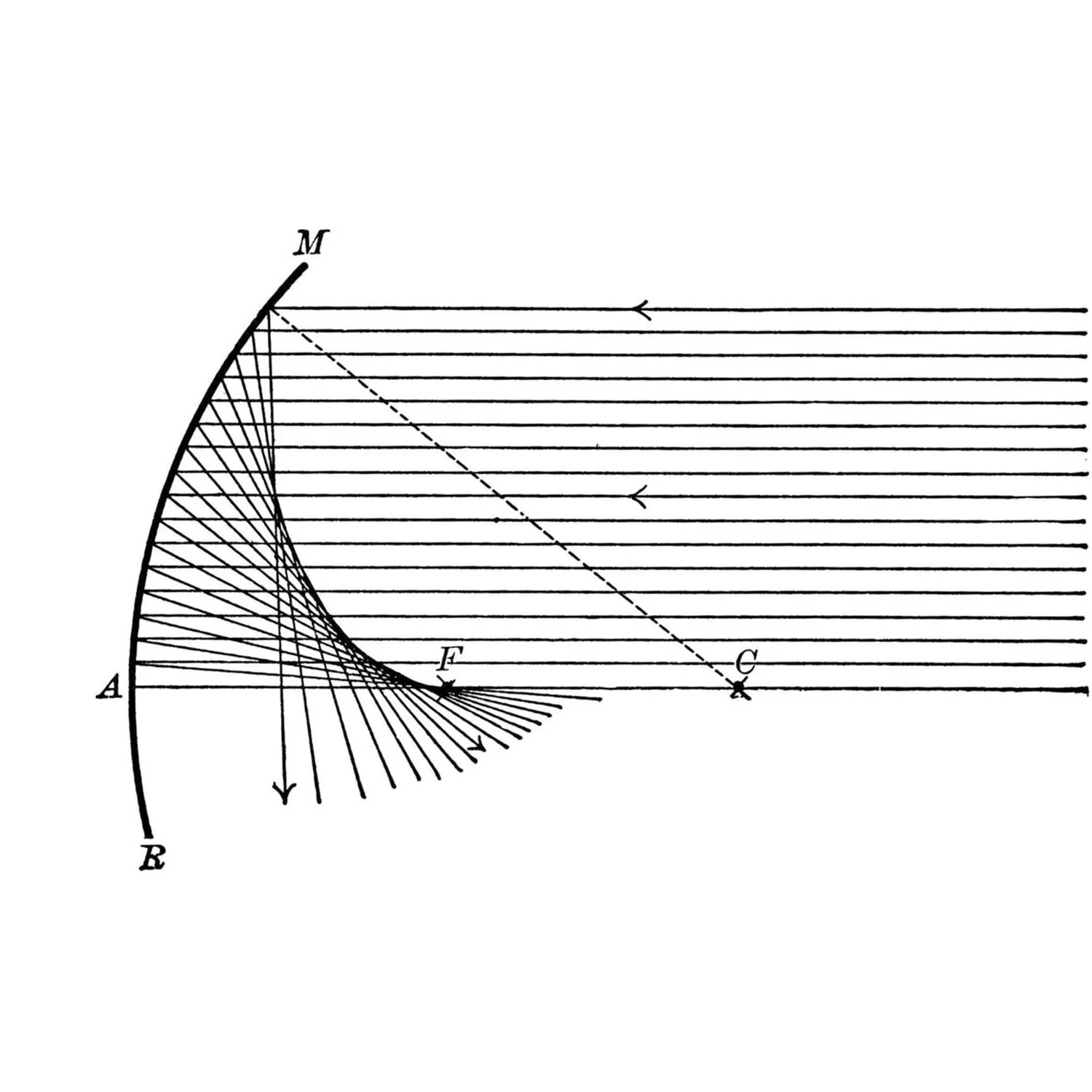 In the Mirror In the Mirror