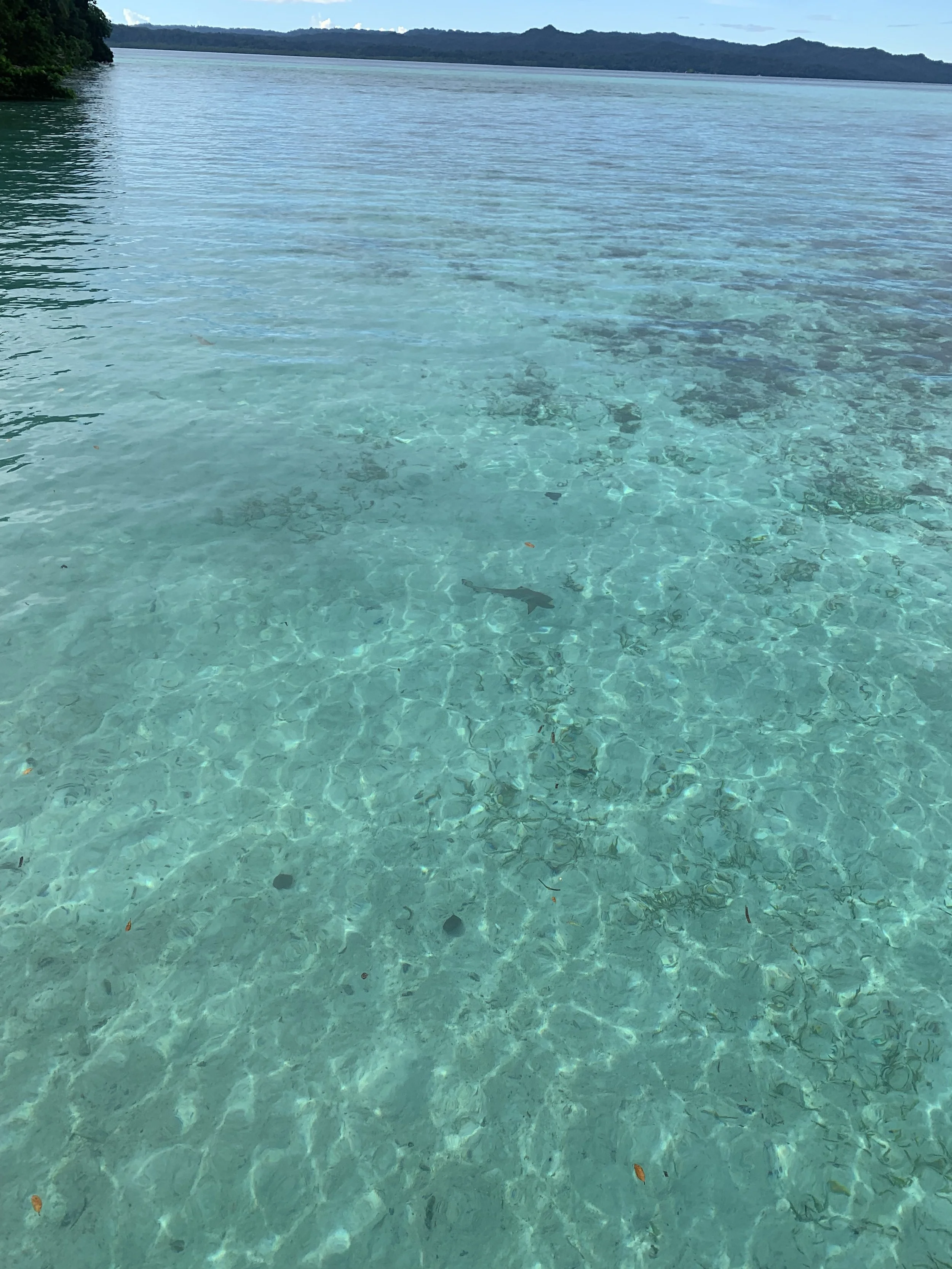 My approach and qualifications