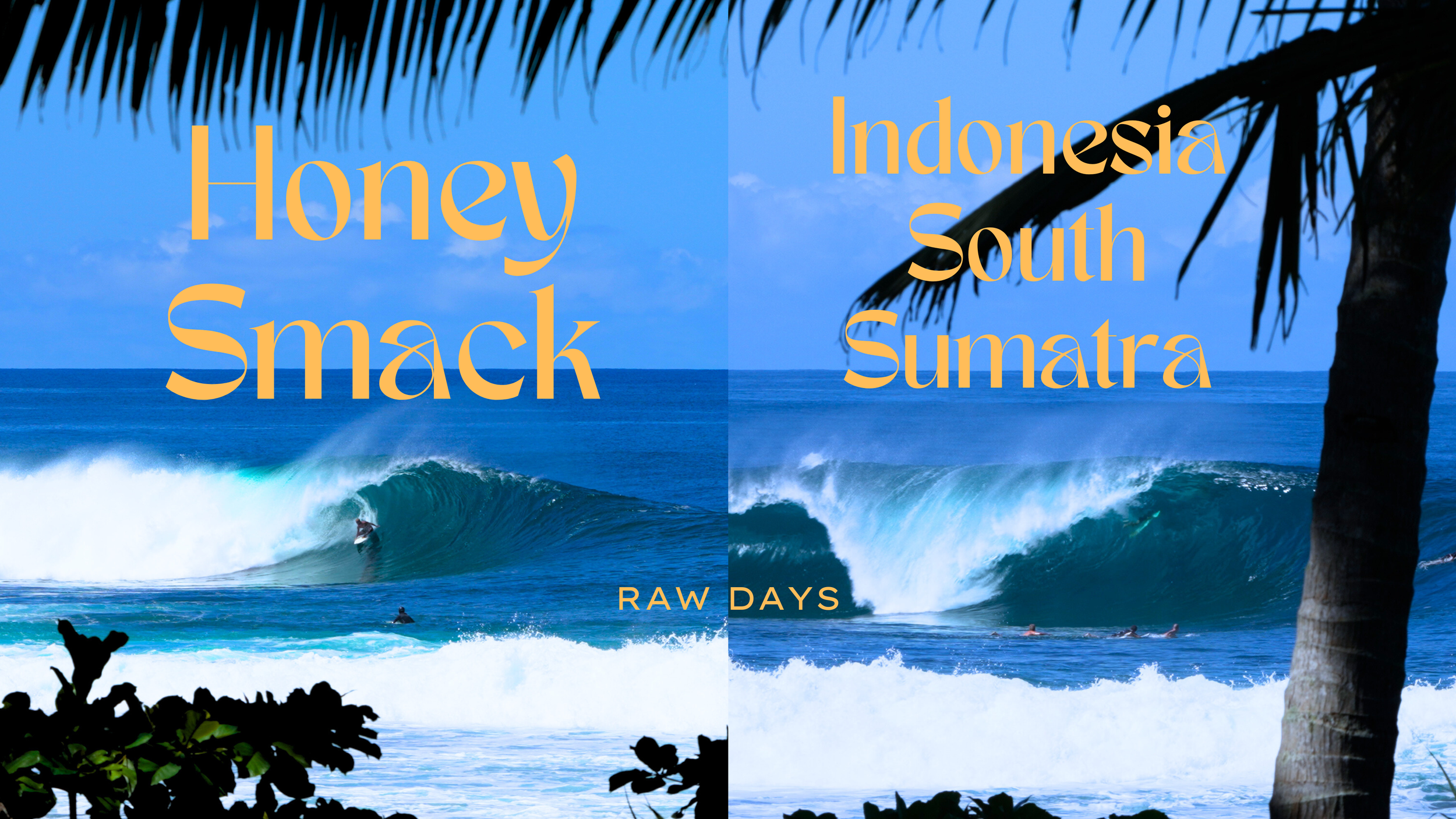 Honey Smack - Dreamy South Sumatra