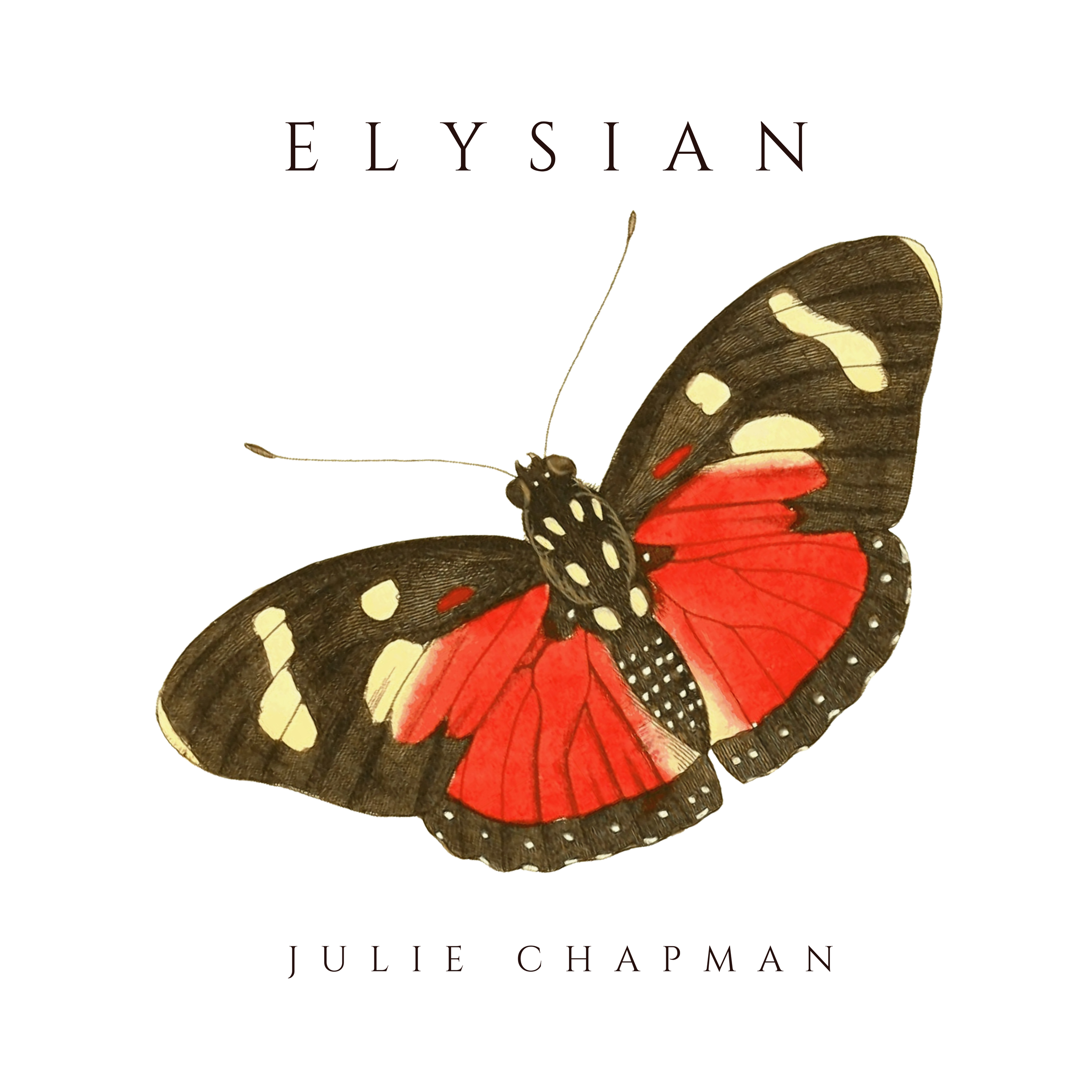 Album cover titled "Elysian" by Julie Chapman featuring a colorful butterfly illustration with black, yellow, and red wings.
