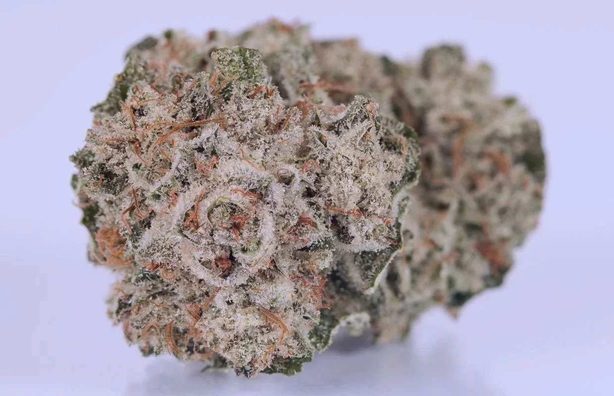 Gorilla Glue