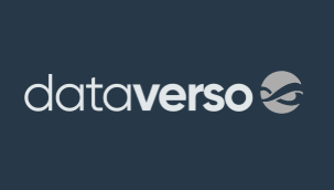 Dataverso Logo.png
