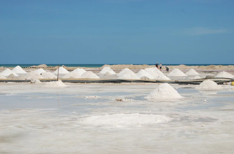 The Wonders of Celtic Sea Salt: Why You Should Use It Regularly