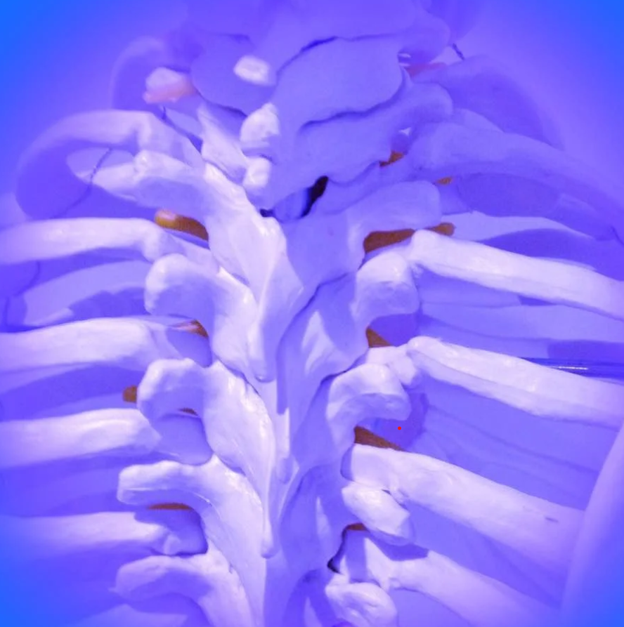 The Breuss Massage: A Gentle, Healing Approach to Spinal Health