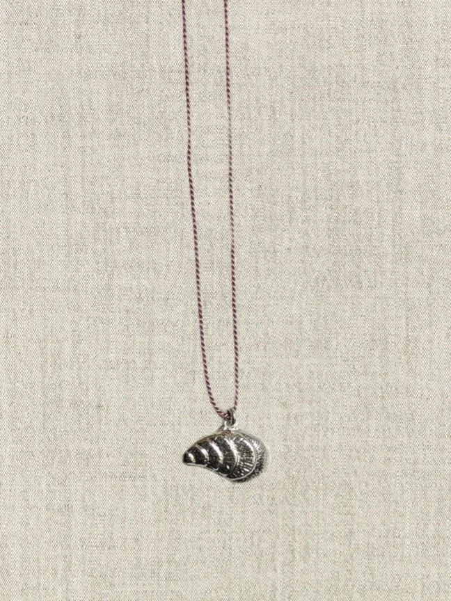 Seashell.jpg