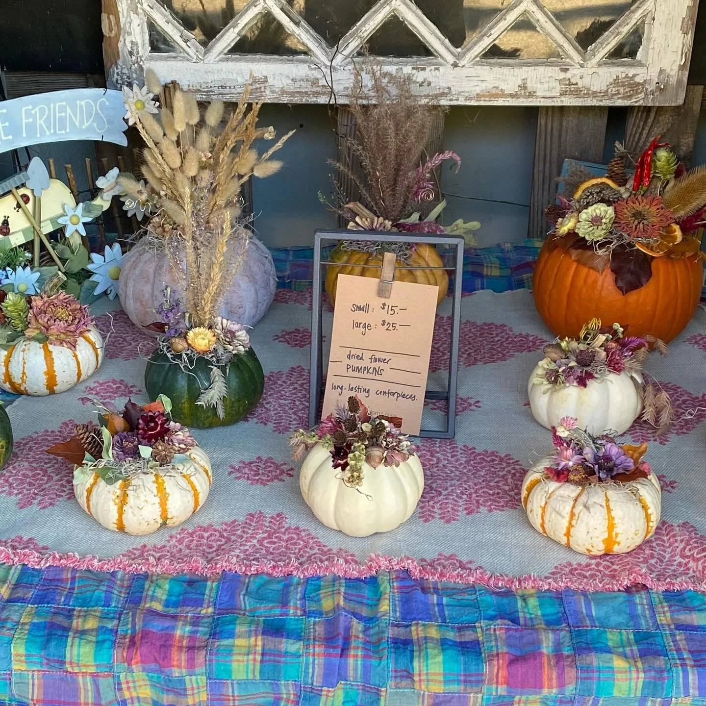 Pumpkins! Ready for you at the flowerstand! Today and tomorrow 13 Grove St Branford #lunablooms #driedflorals #seasonalflowers #ctgrown #ctshoreline