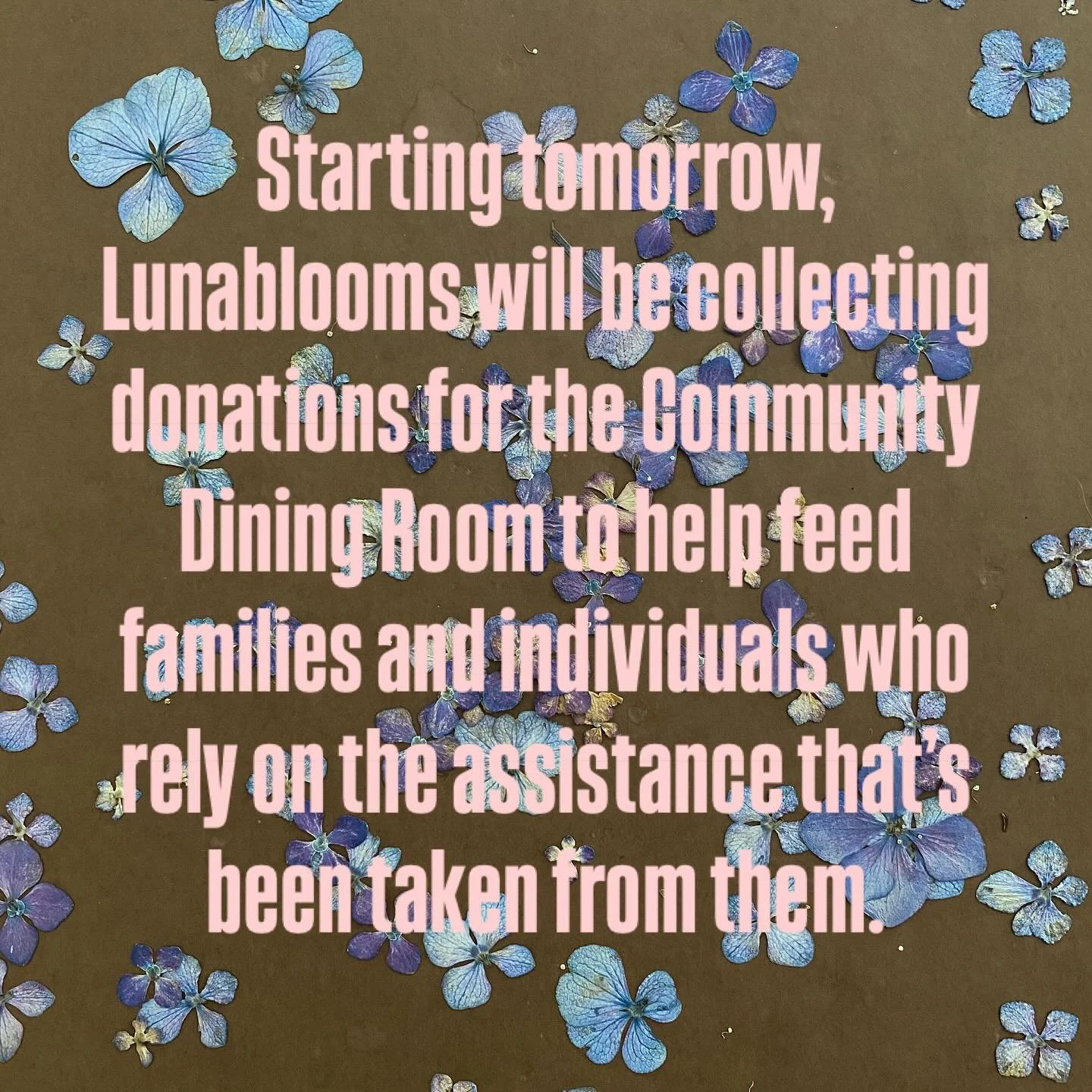 I&rsquo;ll leave envelopes in the stand, you can drop cash donations in the box; I&rsquo;ll also leave my Venmo QR code out to be scanned if you dont have cash on hand. Now is the time for mutual aid; let&rsquo;s help our fellow humans. 
Thanks All! 