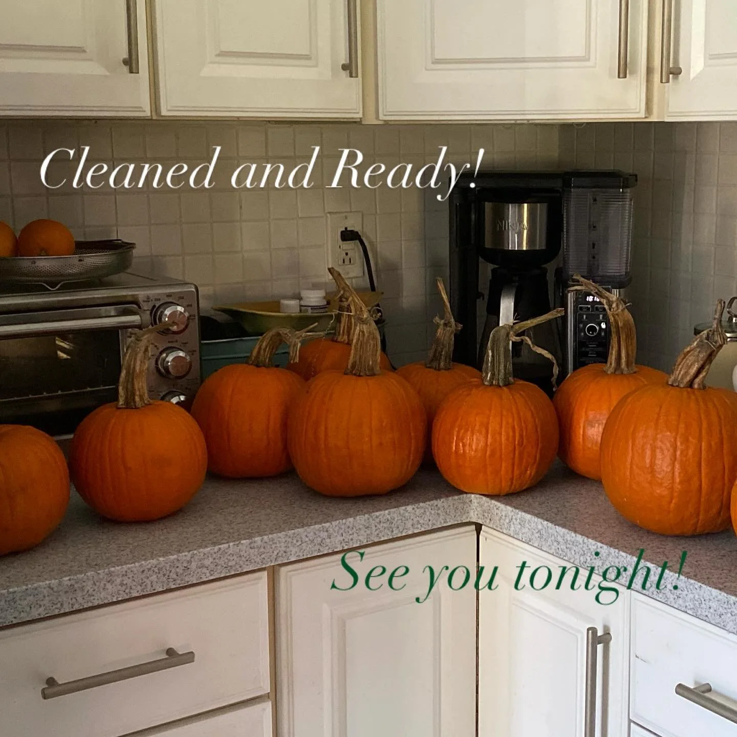 Excited for our Dried Flower Pumpkin Workshop happening tonight!  See you soon with all the bits and bobs to create your own beautiful autumnal centerpiece. #lunablooms #driedflowers #pumpkinworkshop #driedflowerpumpkins #ctlocal #ctmade #ctgrown #br