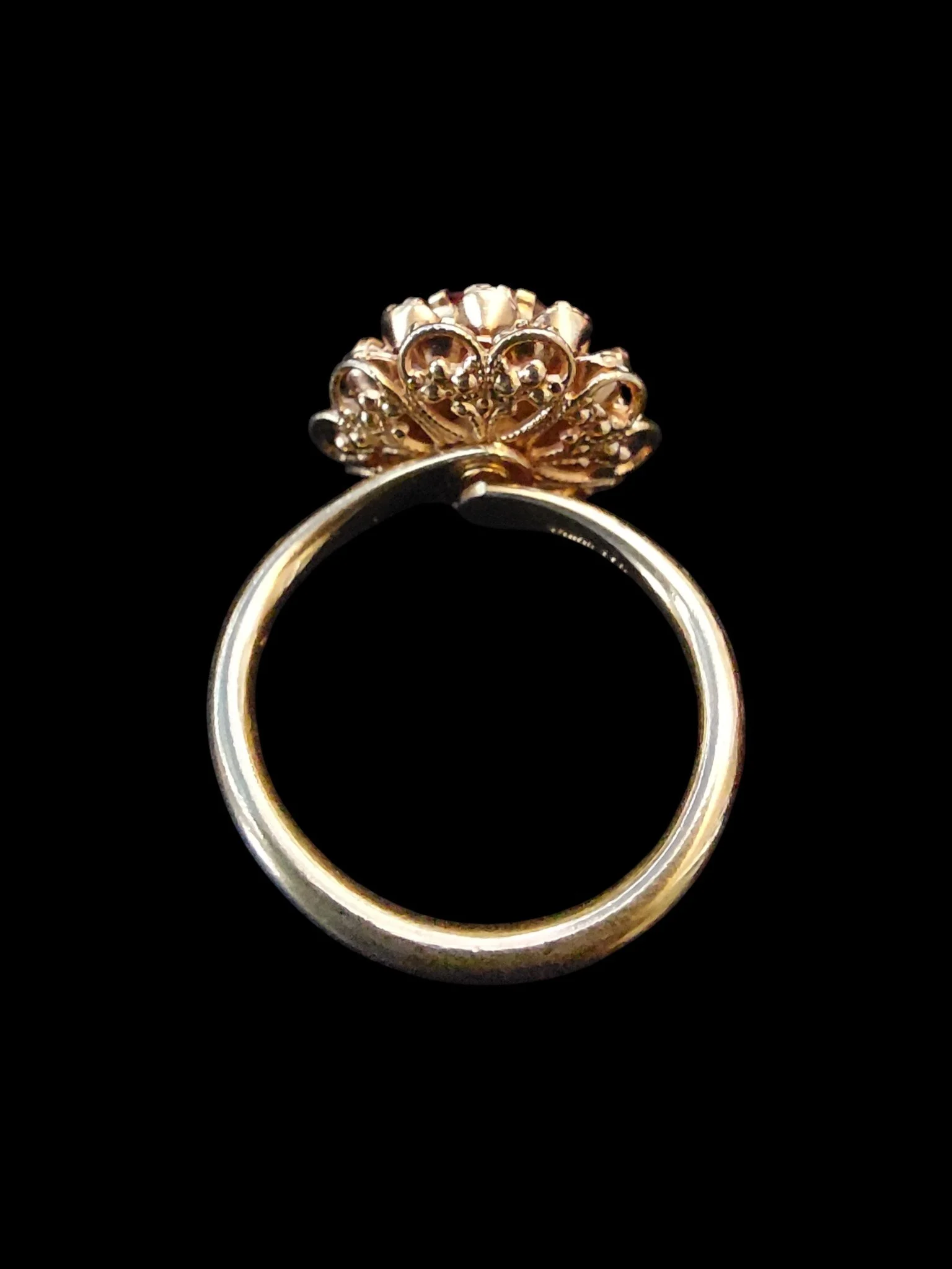 20251228_121843 (1).jpg