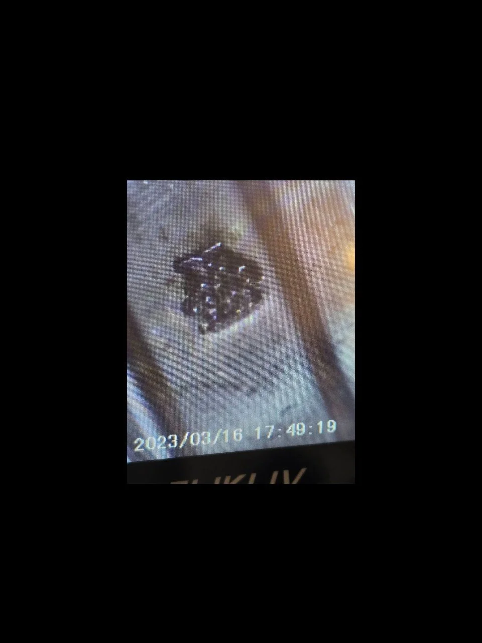 photo_2025-12-09_14-36-51 (1).jpg