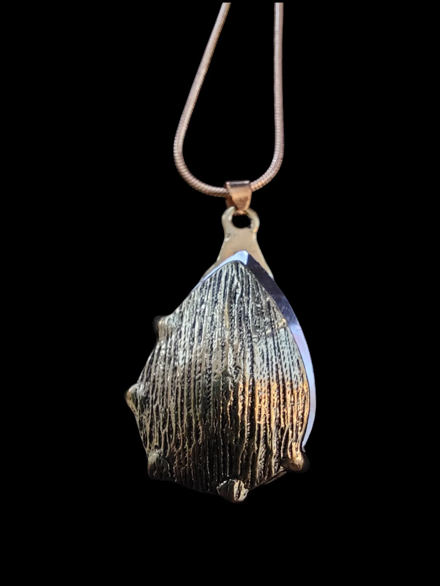 20251222_100658 (1).jpg