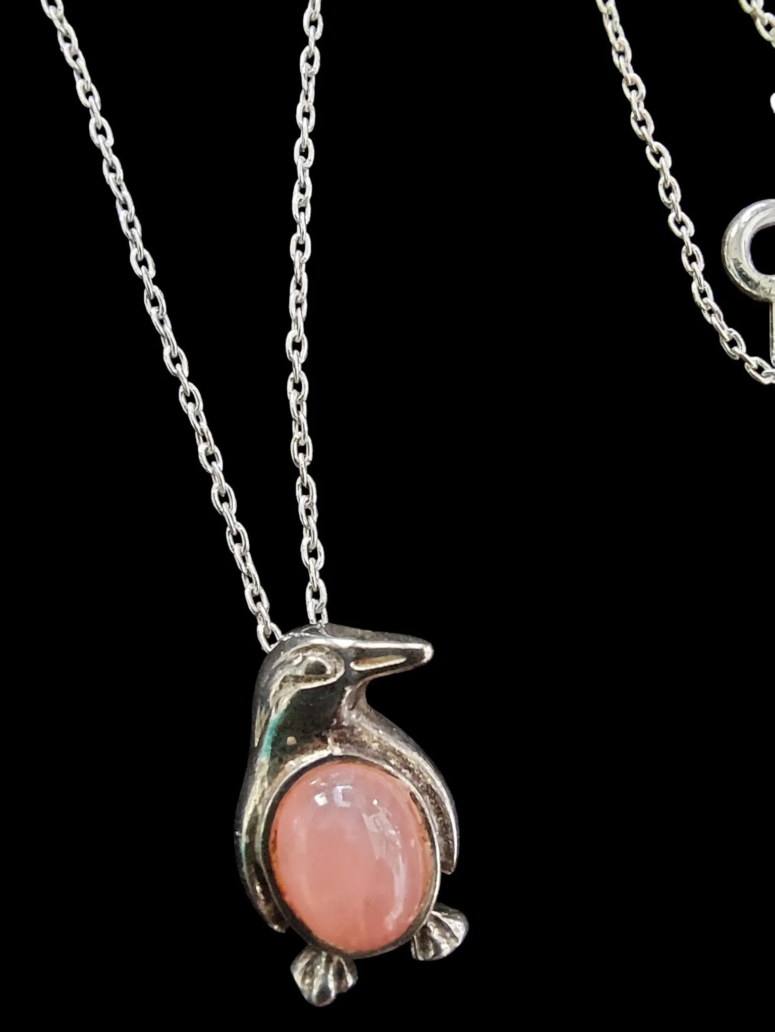 20260121_104323 (1).jpg