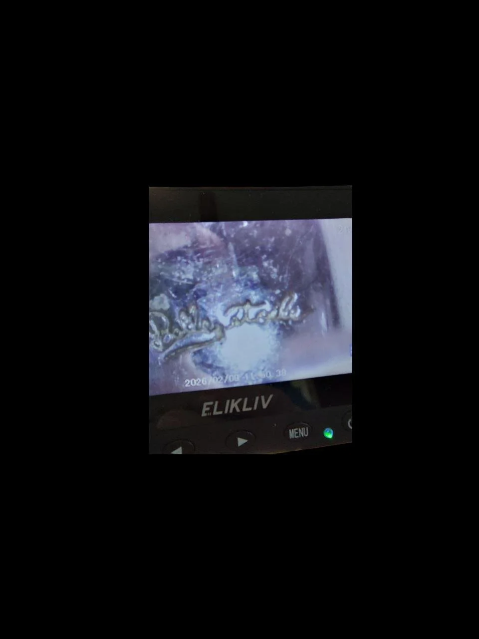 photo_2026-02-12_02-15-08 (4).jpg