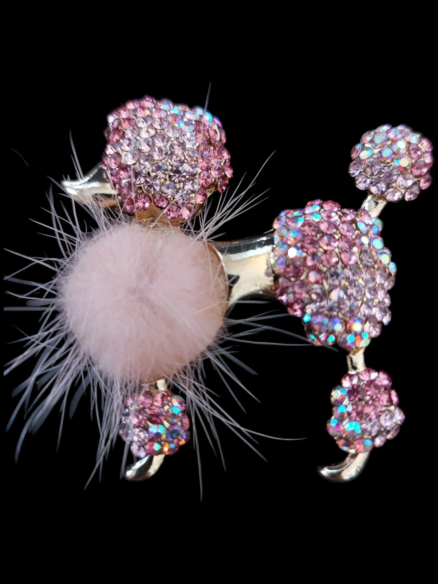 20251230_113042 (1).jpg