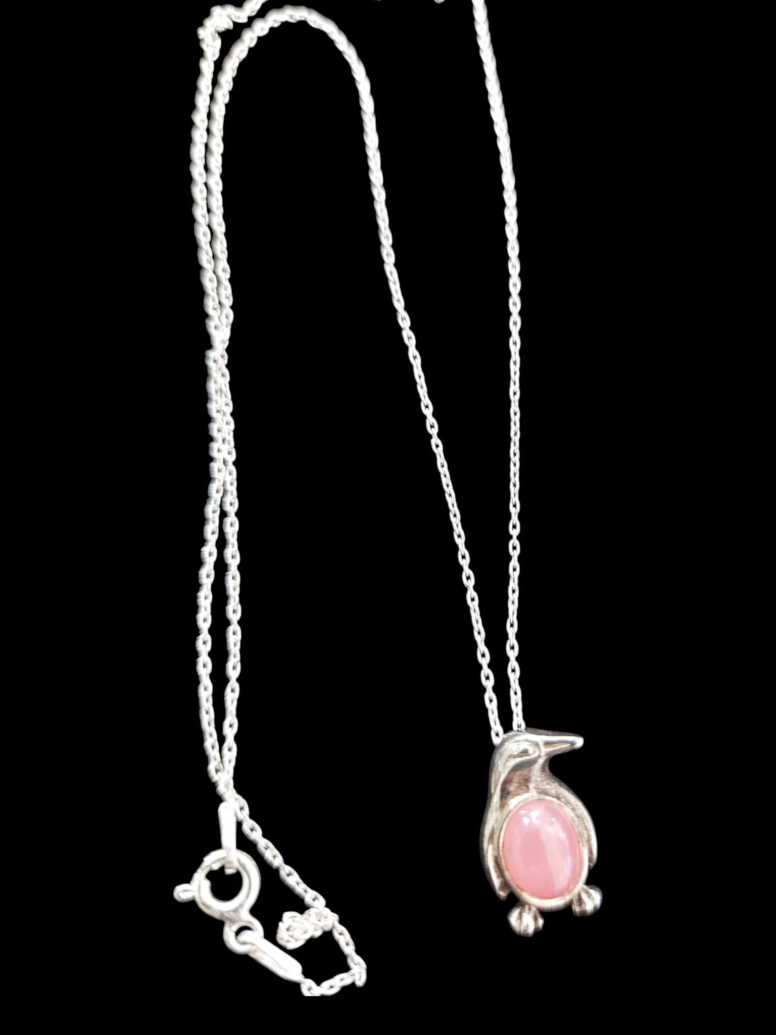 20260121_104945 (1).jpg